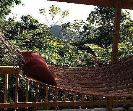 Вилла Roots Jungle Retreat Мариго Экстерьер фото