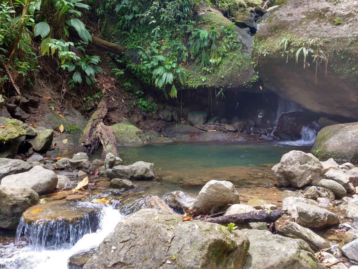 Вилла Roots Jungle Retreat Мариго Экстерьер фото