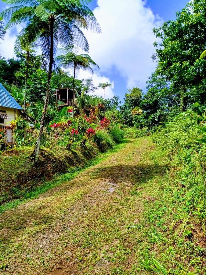 Вилла Roots Jungle Retreat Мариго Экстерьер фото