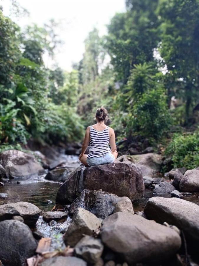 Вилла Roots Jungle Retreat Мариго Экстерьер фото