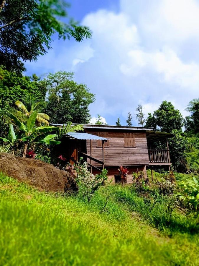 Вилла Roots Jungle Retreat Мариго Экстерьер фото