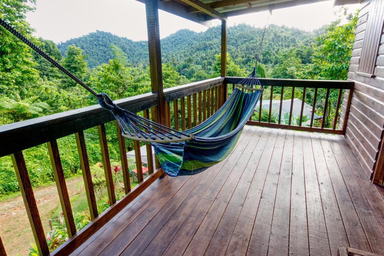 Вилла Roots Jungle Retreat Мариго Экстерьер фото