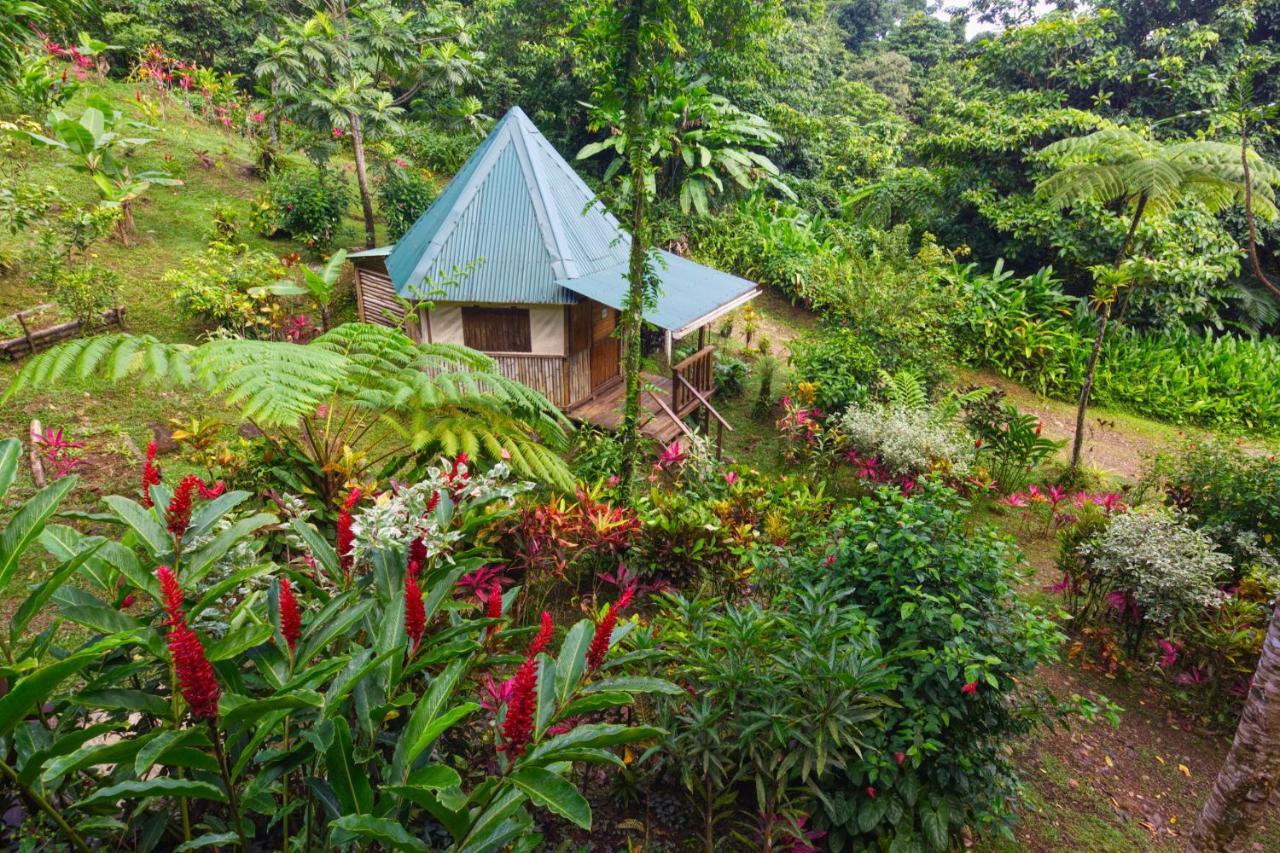 Вилла Roots Jungle Retreat Мариго Экстерьер фото