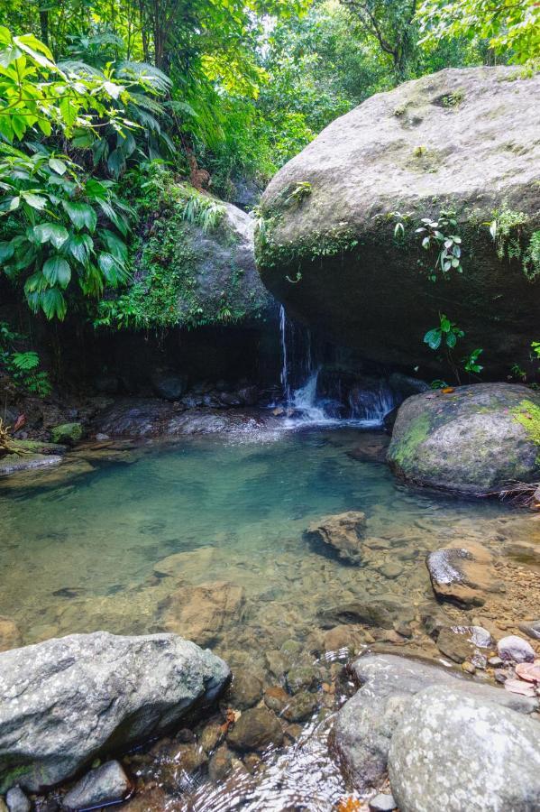 Вилла Roots Jungle Retreat Мариго Экстерьер фото
