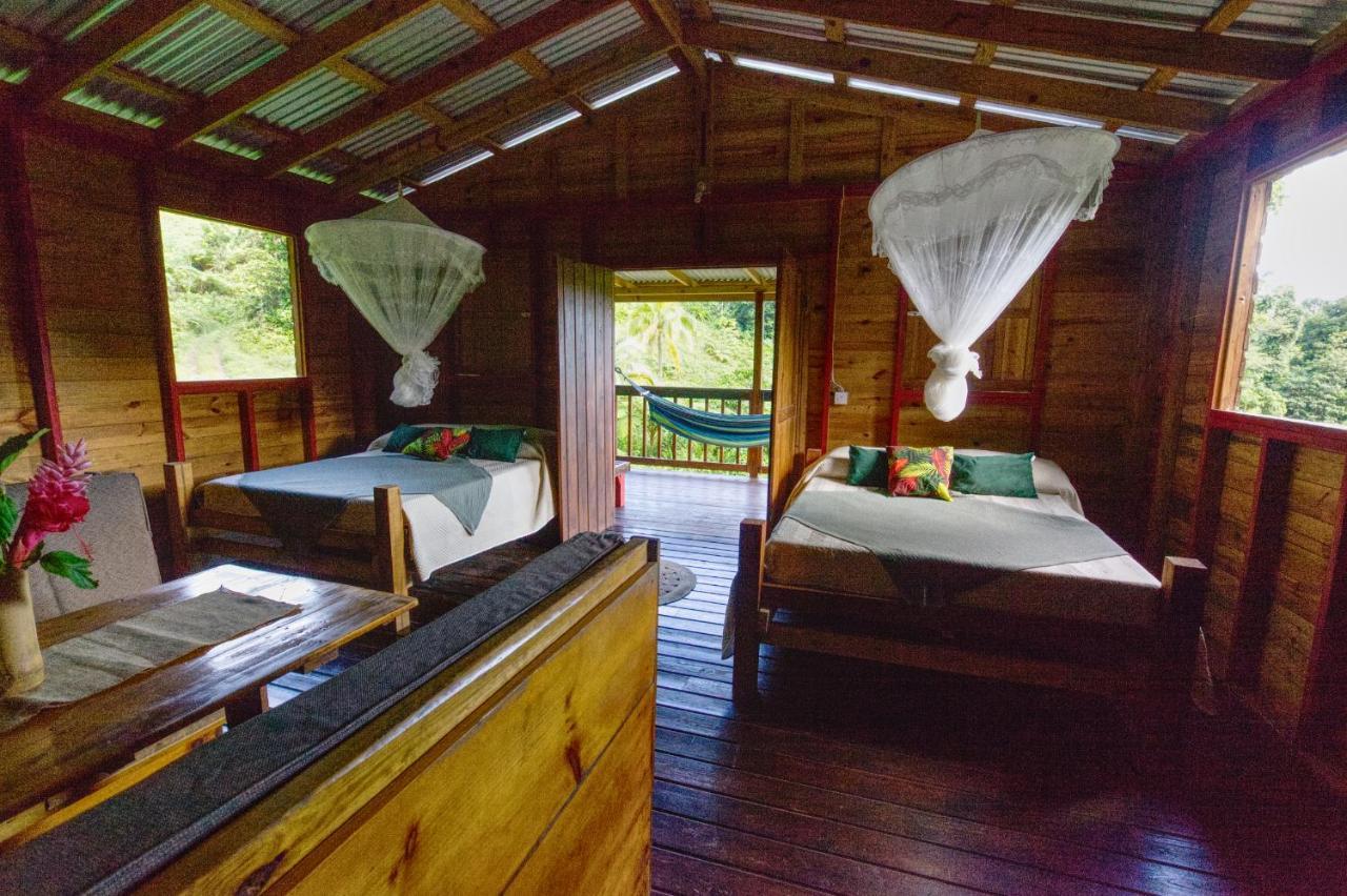 Вилла Roots Jungle Retreat Мариго Экстерьер фото