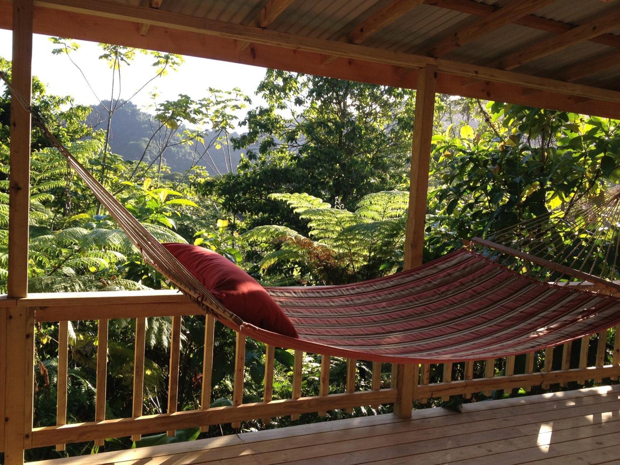 Вилла Roots Jungle Retreat Мариго Экстерьер фото