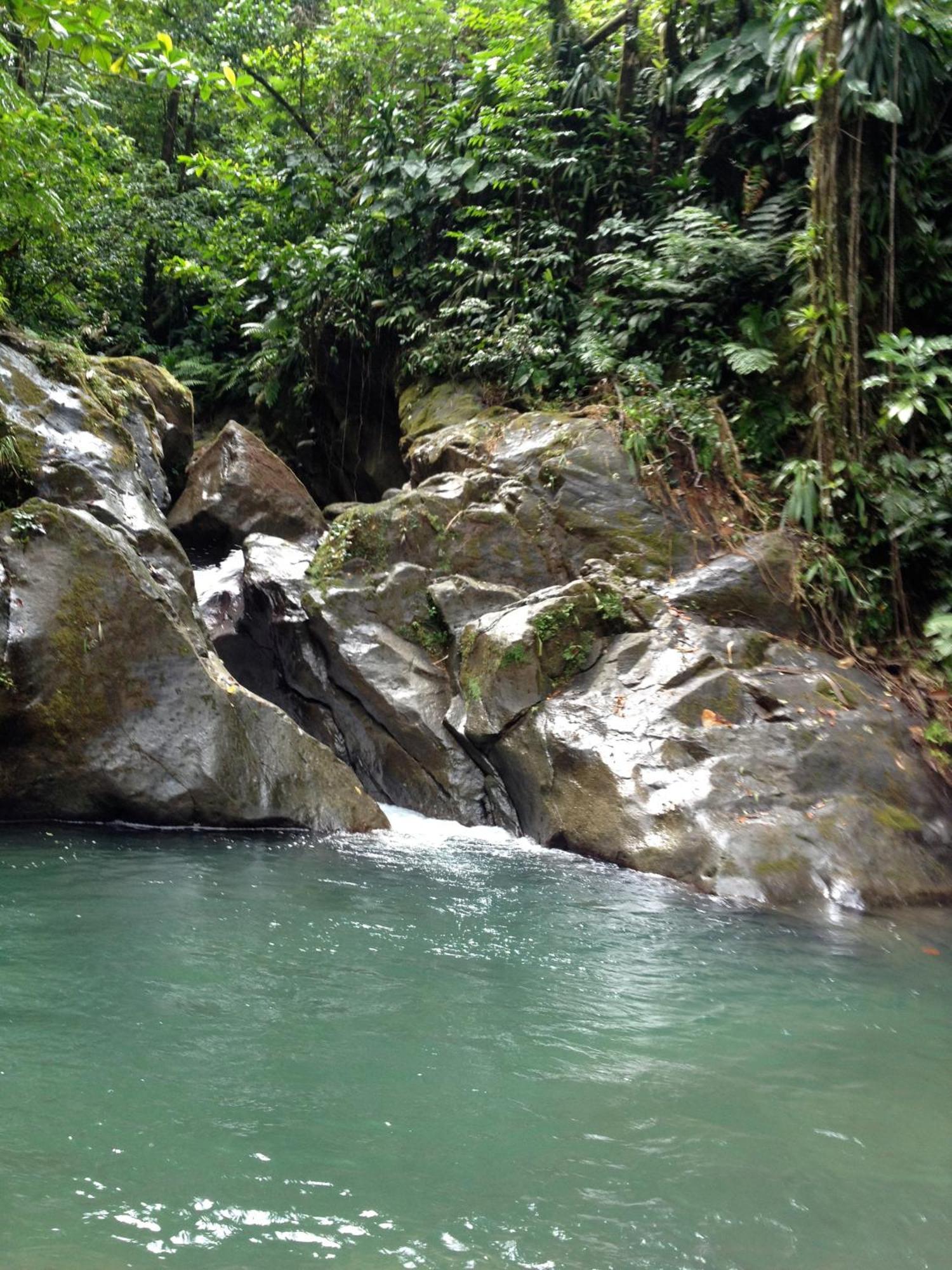 Вилла Roots Jungle Retreat Мариго Экстерьер фото