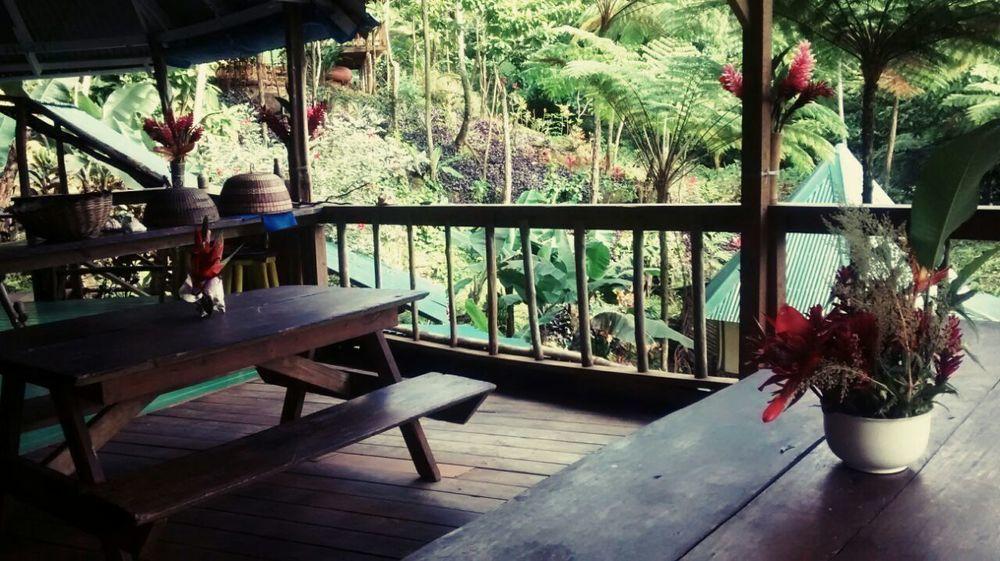 Вилла Roots Jungle Retreat Мариго Экстерьер фото