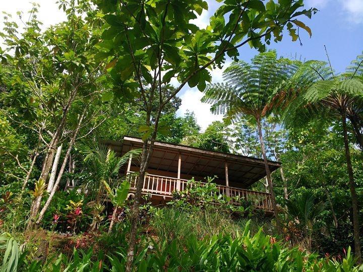 Вилла Roots Jungle Retreat Мариго Экстерьер фото