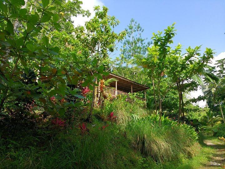 Вилла Roots Jungle Retreat Мариго Экстерьер фото