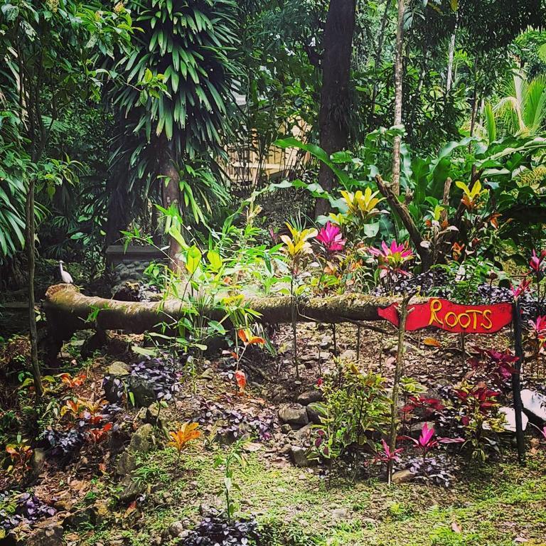 Вилла Roots Jungle Retreat Мариго Экстерьер фото