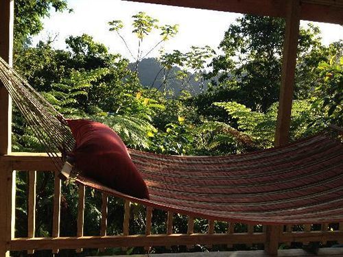 Вилла Roots Jungle Retreat Мариго Экстерьер фото