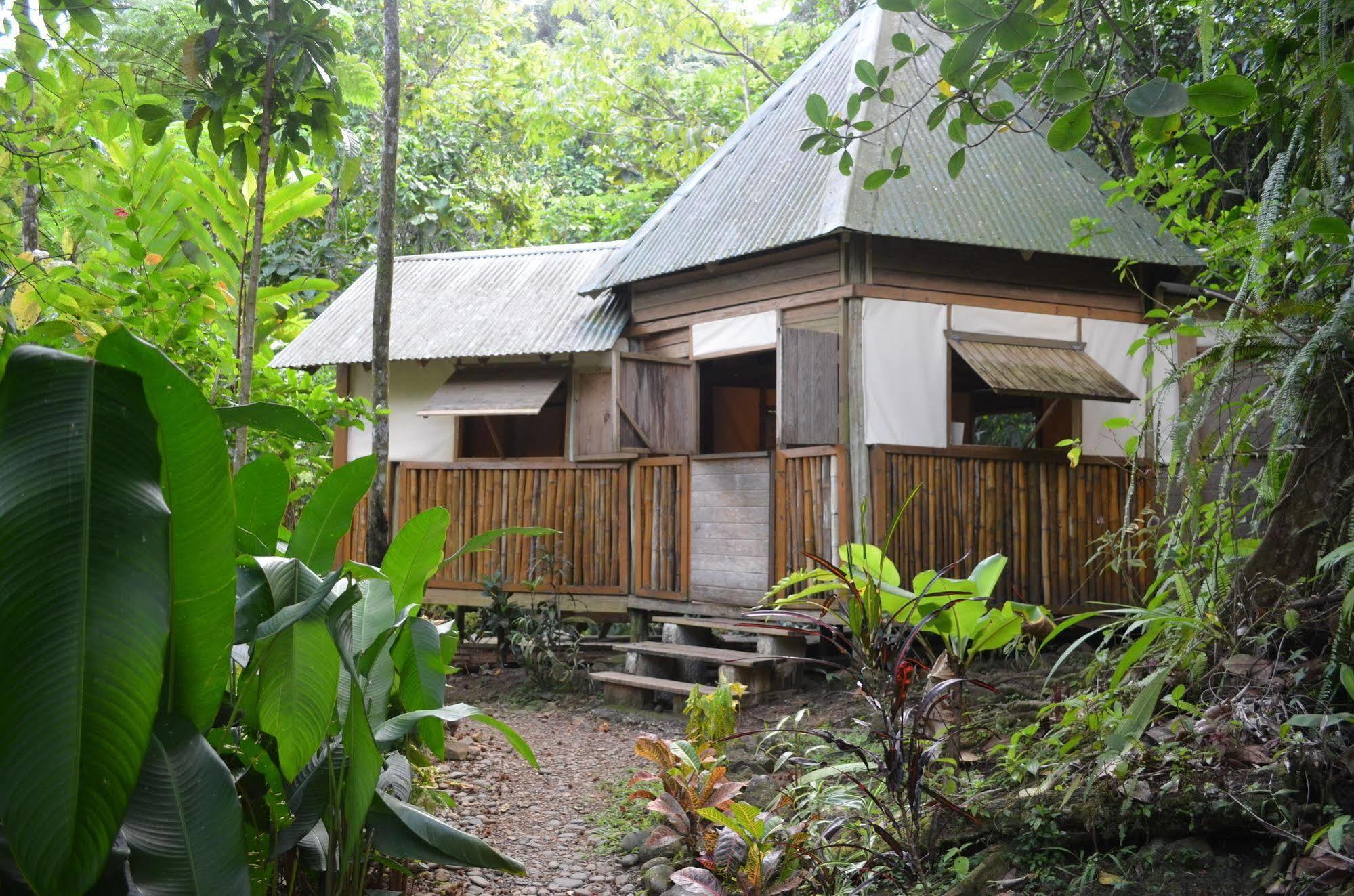 Вилла Roots Jungle Retreat Мариго Экстерьер фото