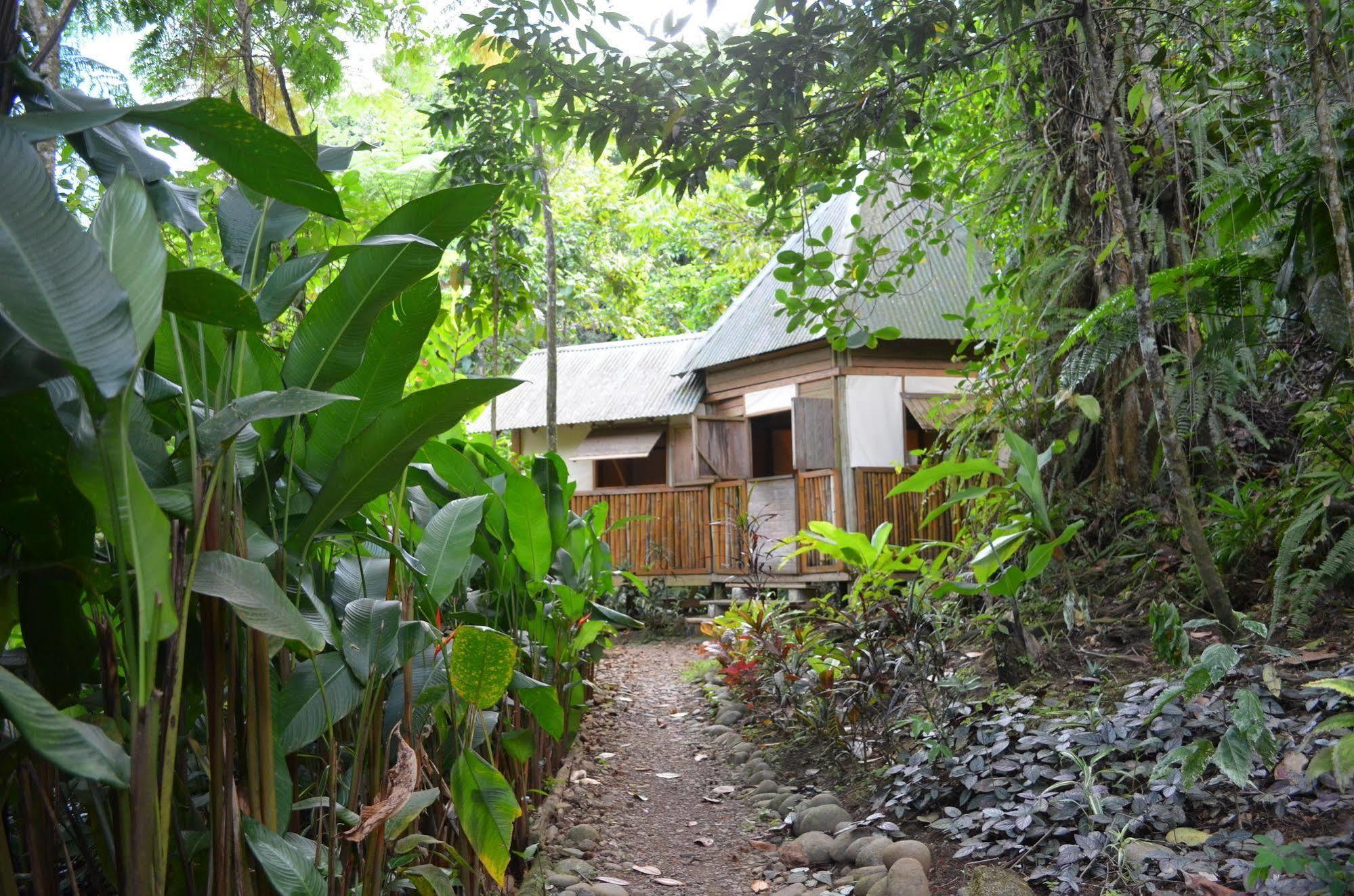 Вилла Roots Jungle Retreat Мариго Экстерьер фото