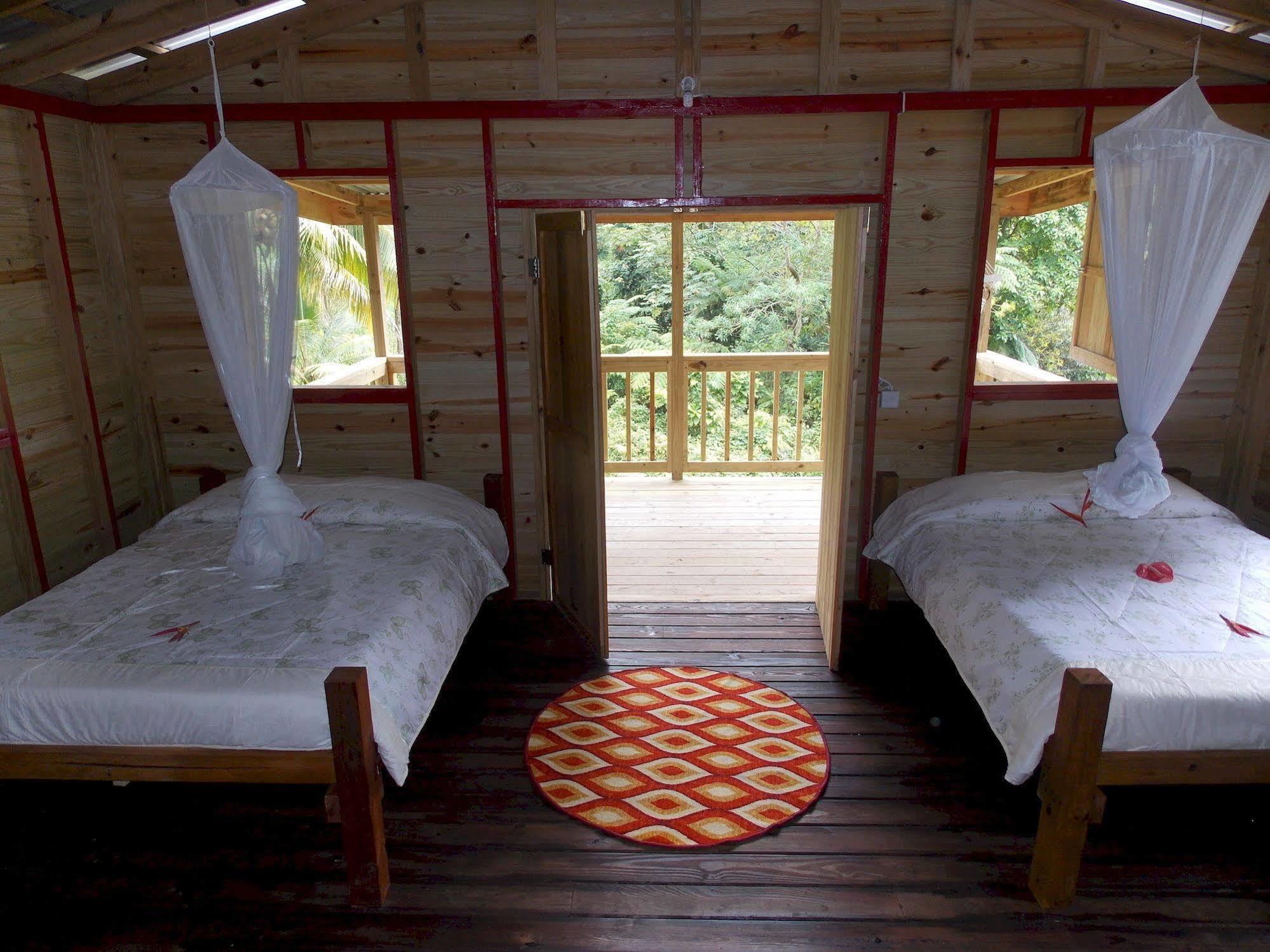 Вилла Roots Jungle Retreat Мариго Экстерьер фото