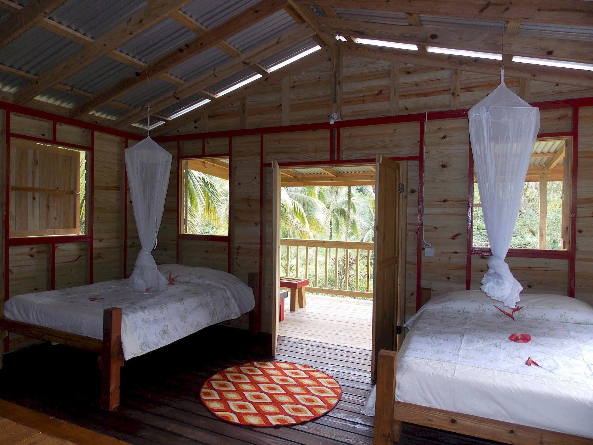 Вилла Roots Jungle Retreat Мариго Экстерьер фото